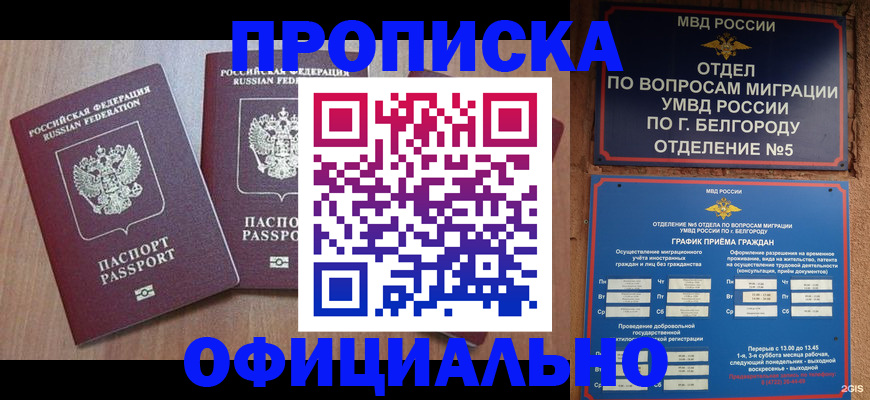 найти адрес прописки в Лукоянове